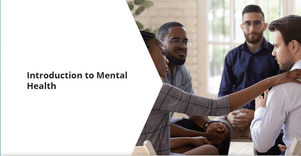 Introduction To Mental Health – Dita Consulting